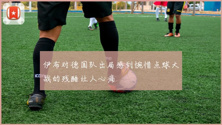 伊布对德国队出局感到惋惜点球大战的残酷让人心痛