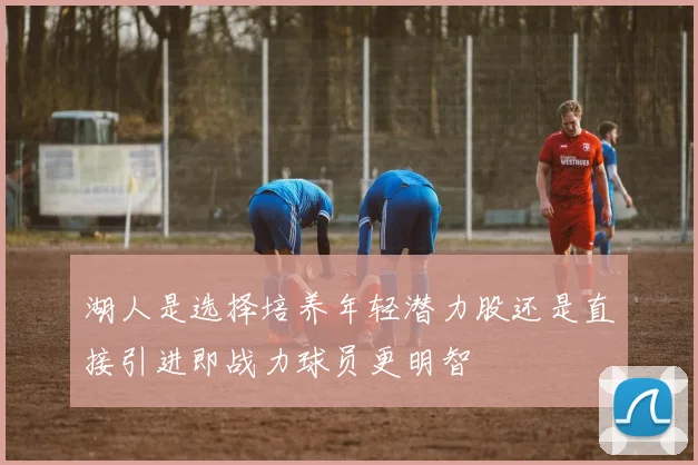 湖人是选择培养年轻潜力股还是直接引进即战力球员更明智